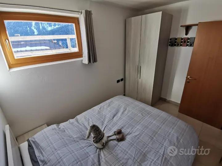 Spazioso Trilocale Sulle Piste Da Sci Folgarida Luaran gambar